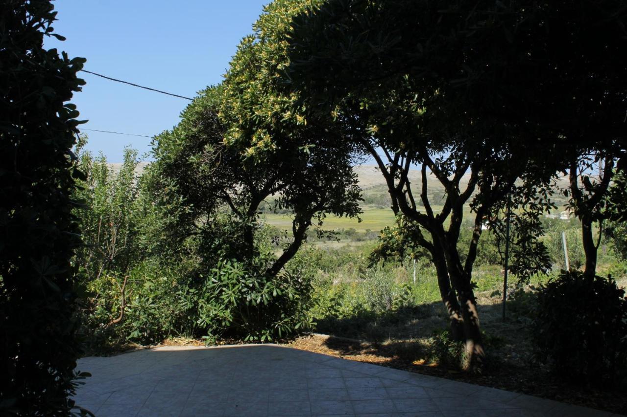 Family Friendly Seaside Apartments Vlasici, Pag - 4319 Exterior foto